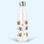 Pomeranian Water Drink Bottle, Stainless Steel Insulated