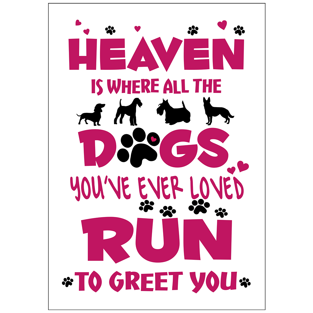 Dog in Heaven Canvas Print