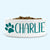 Personalised Ceramic Dog Bowl Medium-Large with Paw (Teal Print)