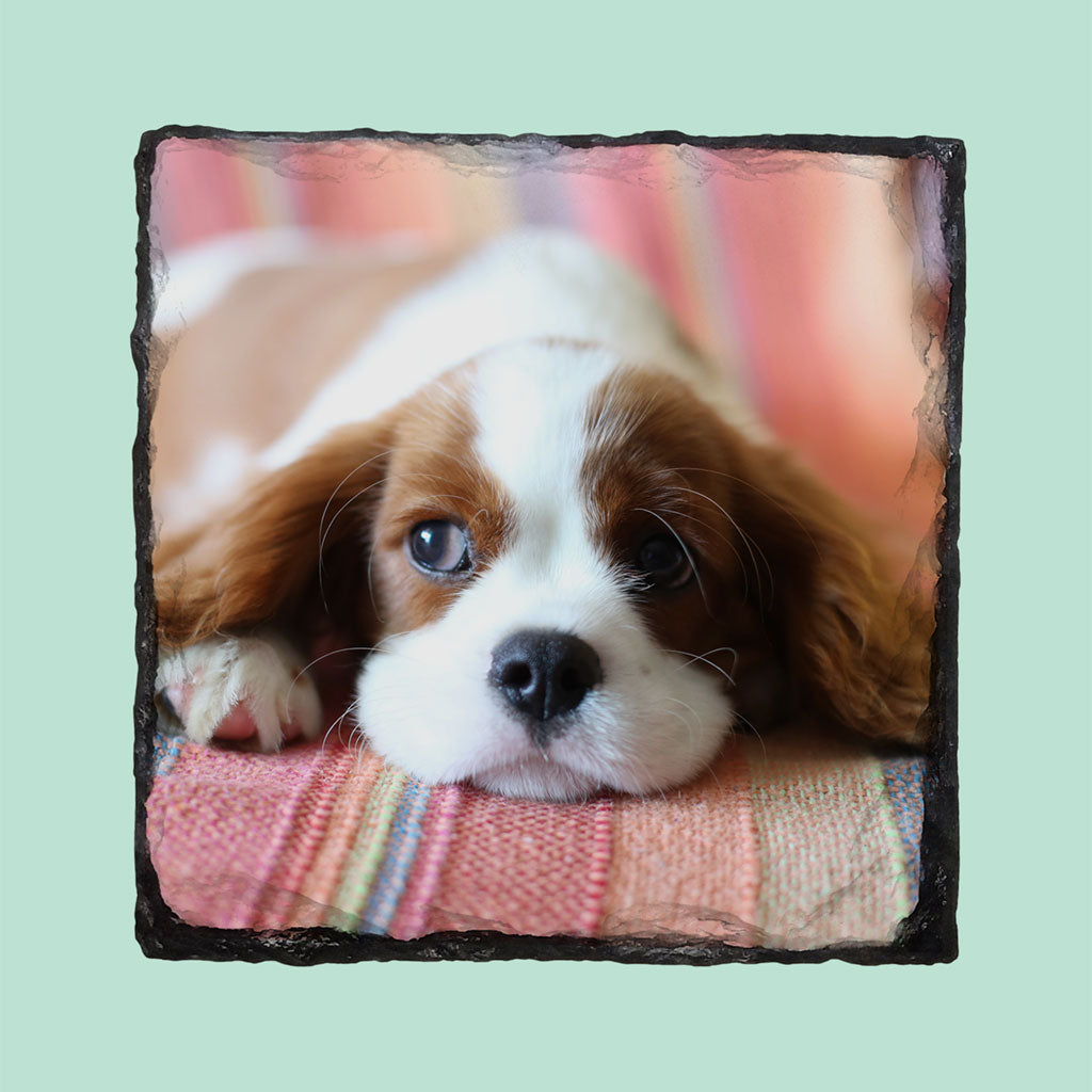 Dog Photo on Slate Coaster